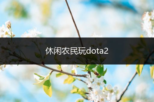 休闲农民玩dota2