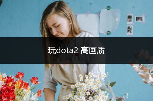 玩dota2 高画质