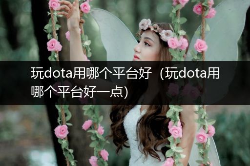 玩dota用哪个平台好（玩dota用哪个平台好一点）