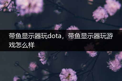 带鱼显示器玩dota，带鱼显示器玩游戏怎么样