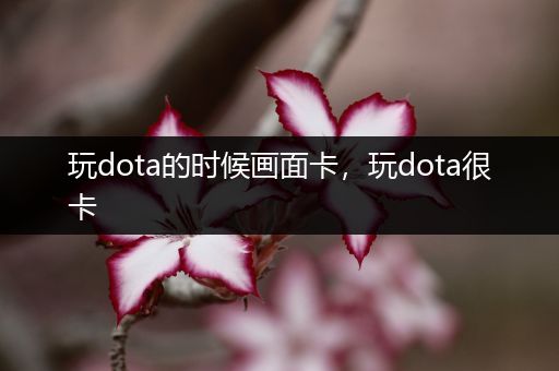 玩dota的时候画面卡，玩dota很卡