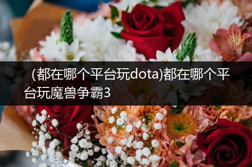 （都在哪个平台玩dota)都在哪个平台玩魔兽争霸3