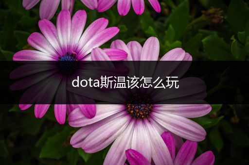 dota斯温该怎么玩