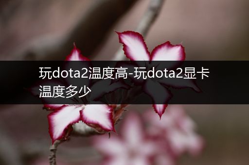 玩dota2温度高-玩dota2显卡温度多少