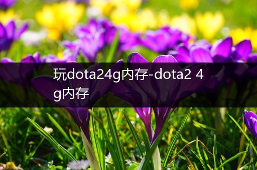 玩dota24g内存-dota2 4g内存