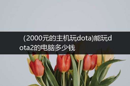 （2000元的主机玩dota)能玩dota2的电脑多少钱