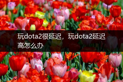 玩dota2很延迟，玩dota2延迟高怎么办