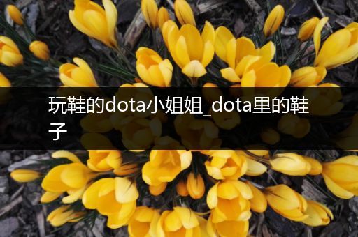 玩鞋的dota小姐姐_dota里的鞋子