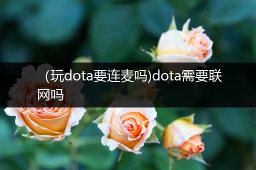 （玩dota要连麦吗)dota需要联网吗