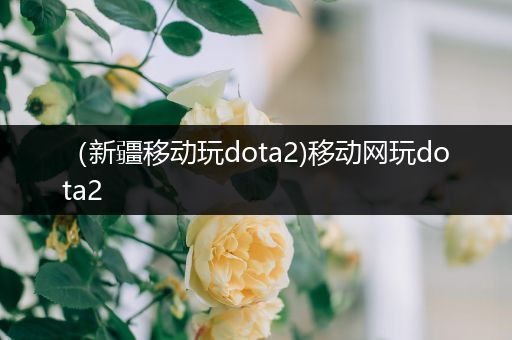 （新疆移动玩dota2)移动网玩dota2