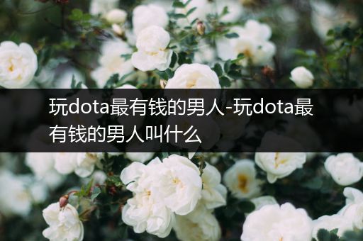 玩dota最有钱的男人-玩dota最有钱的男人叫什么