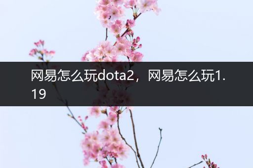 网易怎么玩dota2，网易怎么玩1.19