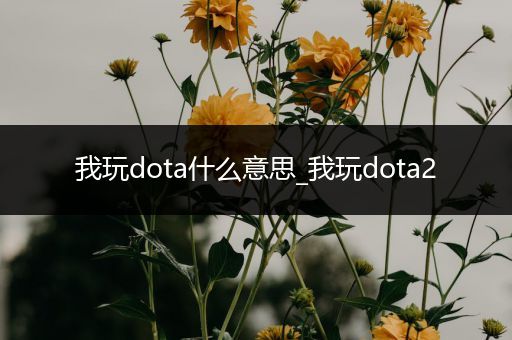 我玩dota什么意思_我玩dota2