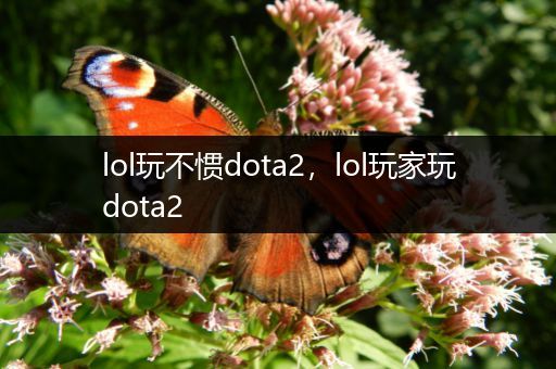 lol玩不惯dota2，lol玩家玩dota2