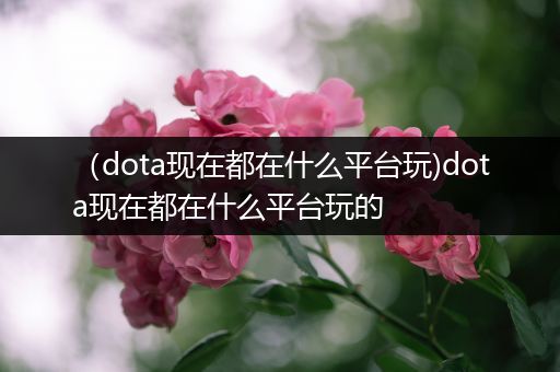 （dota现在都在什么平台玩)dota现在都在什么平台玩的