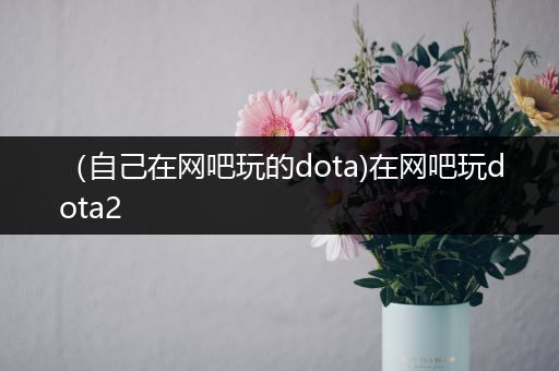 （自己在网吧玩的dota)在网吧玩dota2