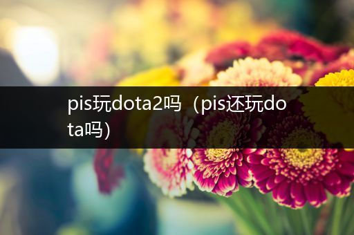 pis玩dota2吗（pis还玩dota吗）