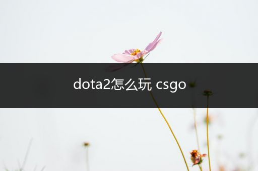 dota2怎么玩 csgo