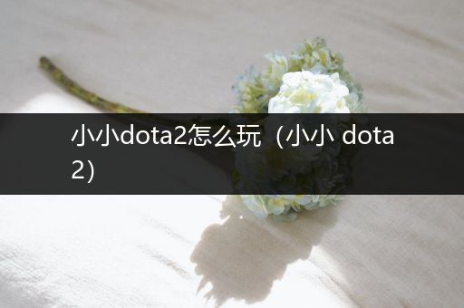 小小dota2怎么玩（小小 dota2）