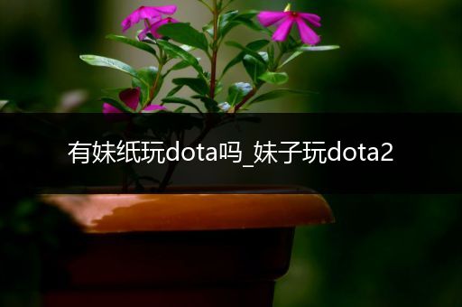 有妹纸玩dota吗_妹子玩dota2