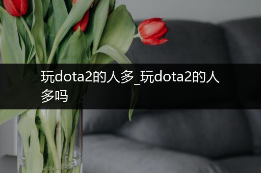 玩dota2的人多_玩dota2的人多吗