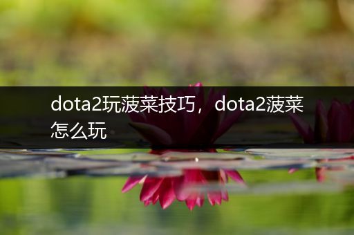 dota2玩菠菜技巧，dota2菠菜怎么玩
