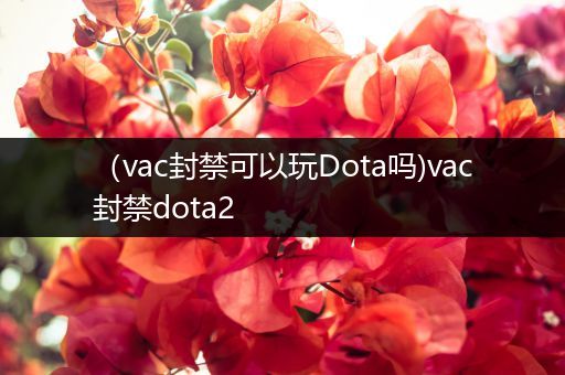 （vac封禁可以玩Dota吗)vac封禁dota2