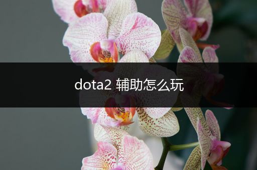 dota2 辅助怎么玩