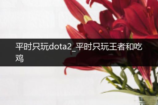 平时只玩dota2_平时只玩王者和吃鸡