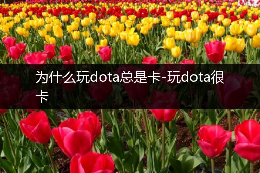 为什么玩dota总是卡-玩dota很卡