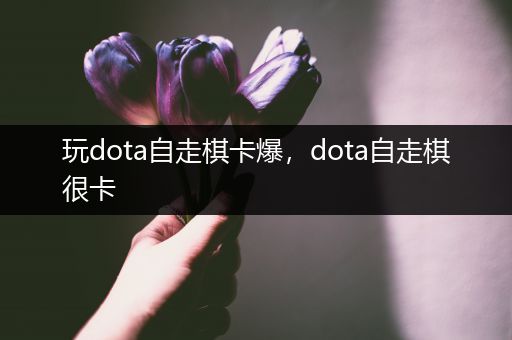 玩dota自走棋卡爆，dota自走棋很卡