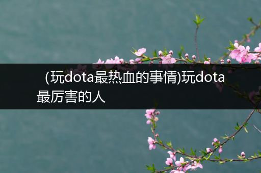 （玩dota最热血的事情)玩dota最厉害的人