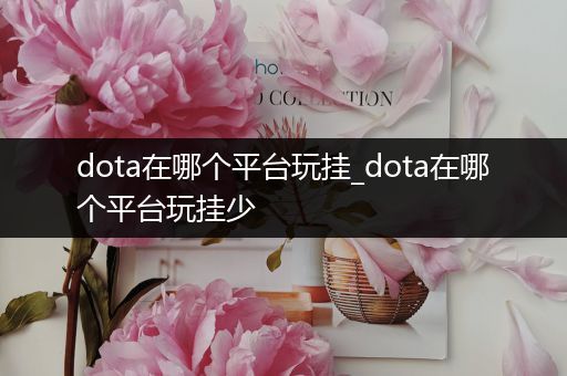 dota在哪个平台玩挂_dota在哪个平台玩挂少