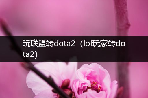 玩联盟转dota2（lol玩家转dota2）