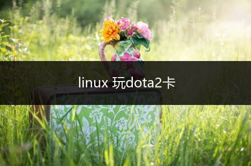 linux 玩dota2卡