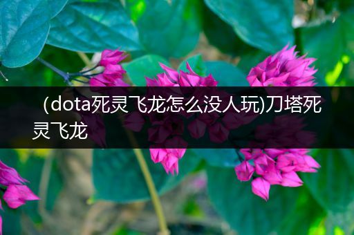 （dota死灵飞龙怎么没人玩)刀塔死灵飞龙