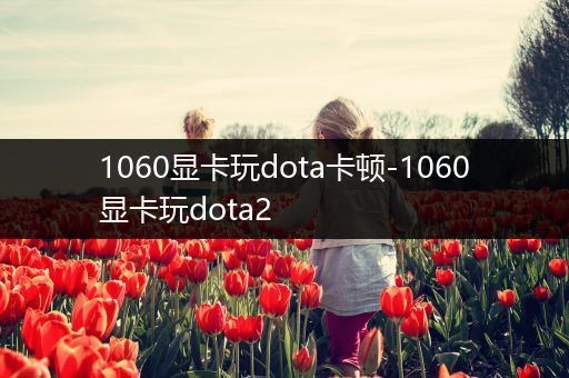 1060显卡玩dota卡顿-1060显卡玩dota2