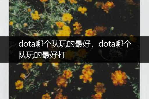 dota哪个队玩的最好，dota哪个队玩的最好打