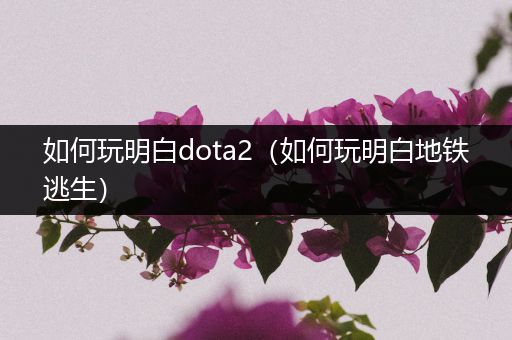 如何玩明白dota2（如何玩明白地铁逃生）