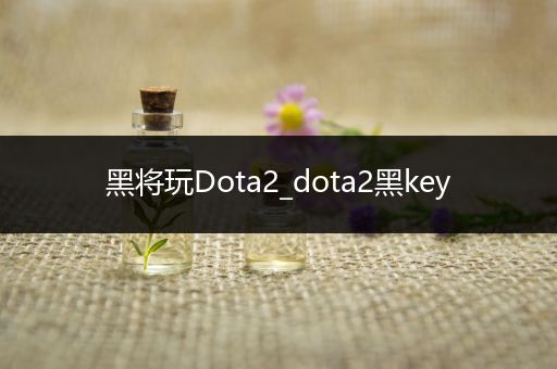 黑将玩Dota2_dota2黑key