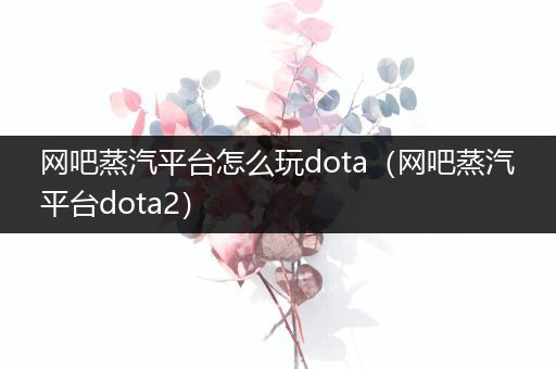 网吧蒸汽平台怎么玩dota（网吧蒸汽平台dota2）