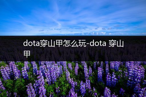 dota穿山甲怎么玩-dota 穿山甲