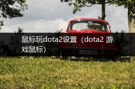 鼠标玩dota2设置（dota2 游戏鼠标）