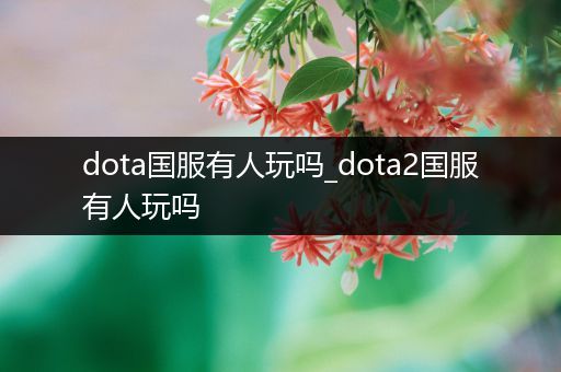 dota国服有人玩吗_dota2国服有人玩吗