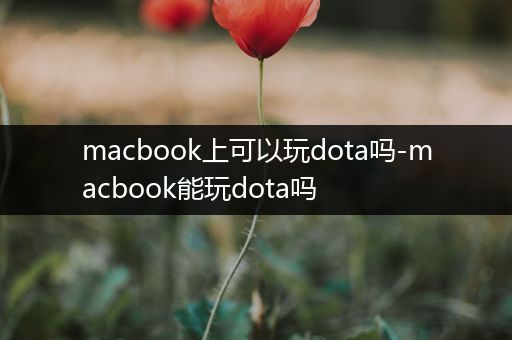 macbook上可以玩dota吗-macbook能玩dota吗