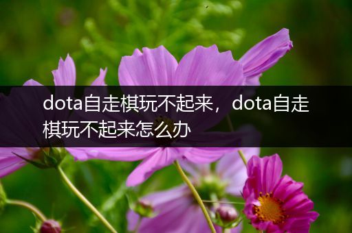 dota自走棋玩不起来，dota自走棋玩不起来怎么办