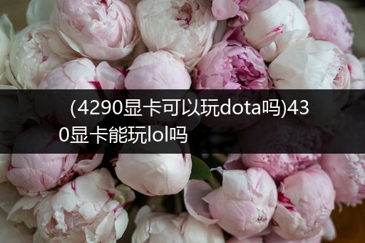 （4290显卡可以玩dota吗)430显卡能玩lol吗