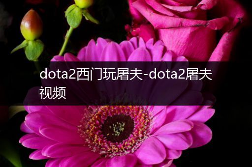 dota2西门玩屠夫-dota2屠夫视频