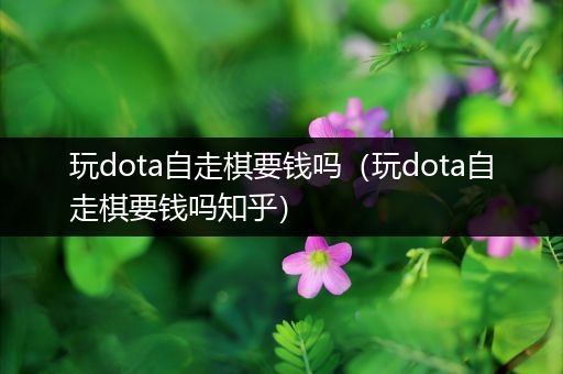 玩dota自走棋要钱吗（玩dota自走棋要钱吗知乎）