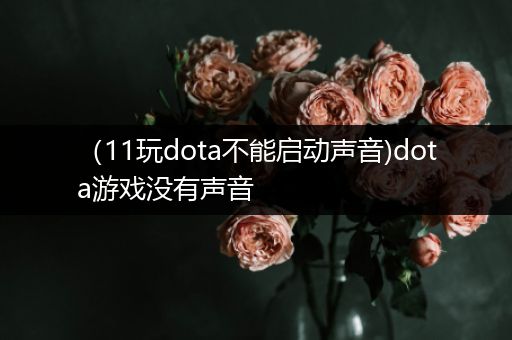 （11玩dota不能启动声音)dota游戏没有声音